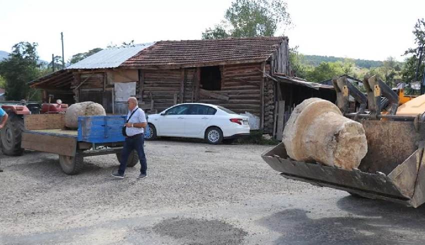 250 yıllık kayıp sütunlar hangi ünlü ailenin villasından çıktı?