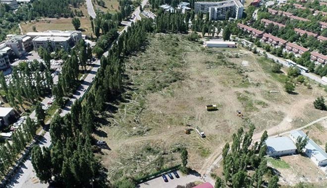 Ağaçlar kesildi, ODTÜ yönetimi yurt inşaatını 'gözden geçirmeye' karar verdi