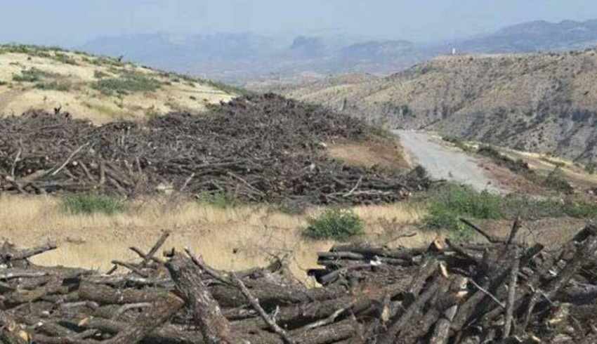 641 maden sahası aramalara açılacak