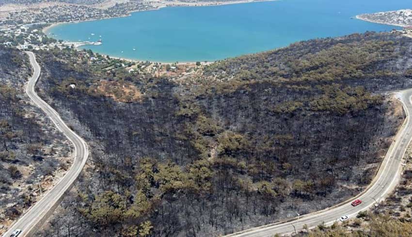 Talan yönetmeliği: Ormanlık alana otel, havaalanı yapılabilecek