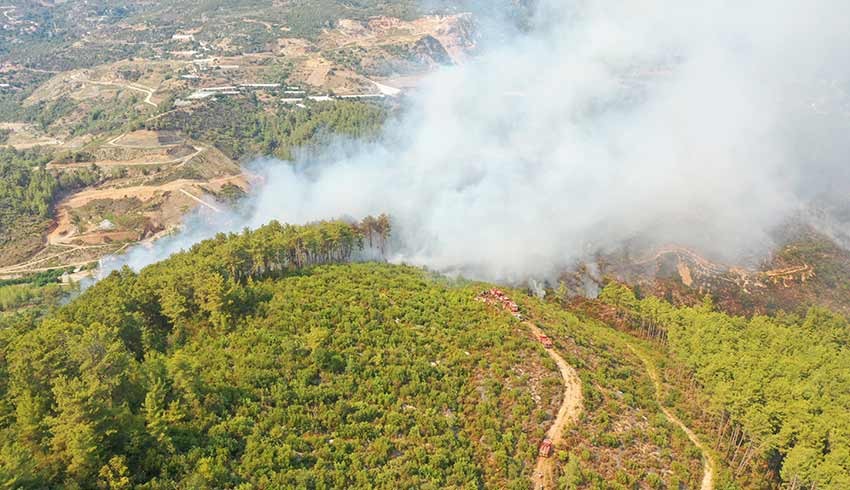 Alanya'da felaket son anda önlendi! Ormanı yakıp kaçtılar