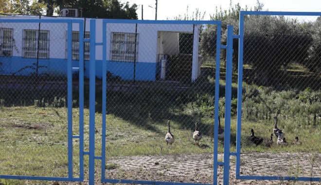 Antalya Müzesi'nin kazları, antik kente sürgün edildi