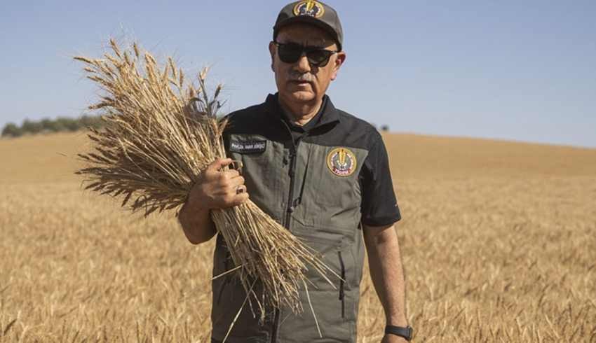 Bakan açıkladı: Çiftçiye destek ödemesi öne alındı