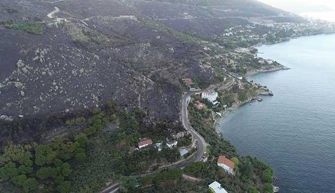 Ciğerlerimiz yandı, 80 hektar orman kül oldu