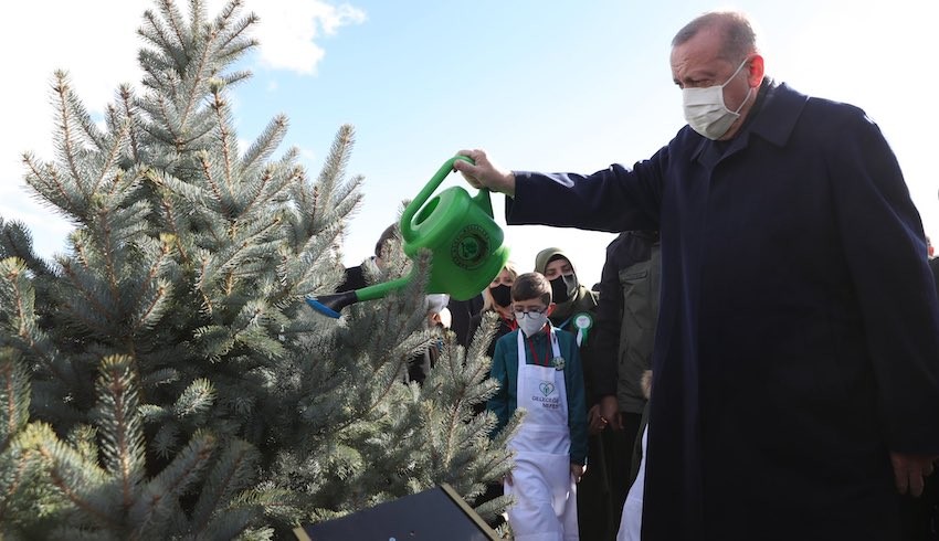 Cumhurbaşkanı Erdoğan: Ağaçlandırmada Avrupa birincisiyiz, dünya dördüncüsüyüz