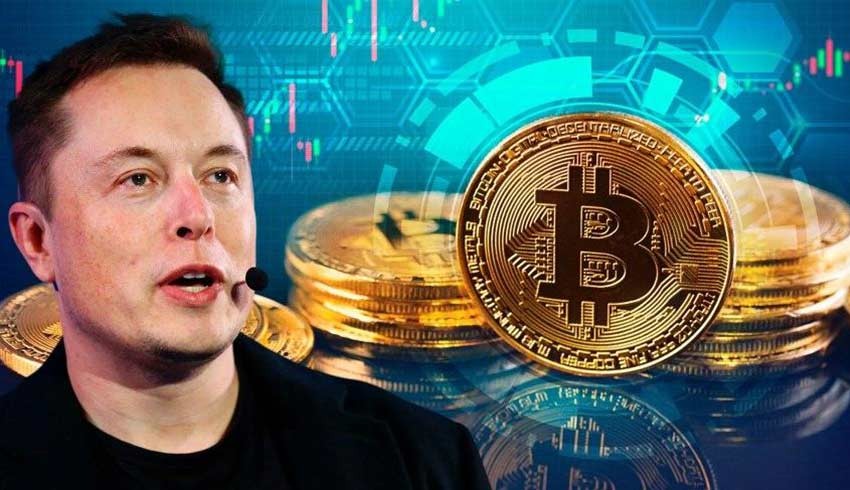 Elon Musk'tan kripto para uyarısı: Hepsi şakaydı