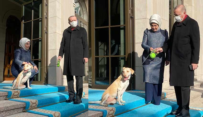 Emine Erdoğan: Cumhurbaşkanı Erdoğan'ı 'Leblebi' ile birlikte uğurladık