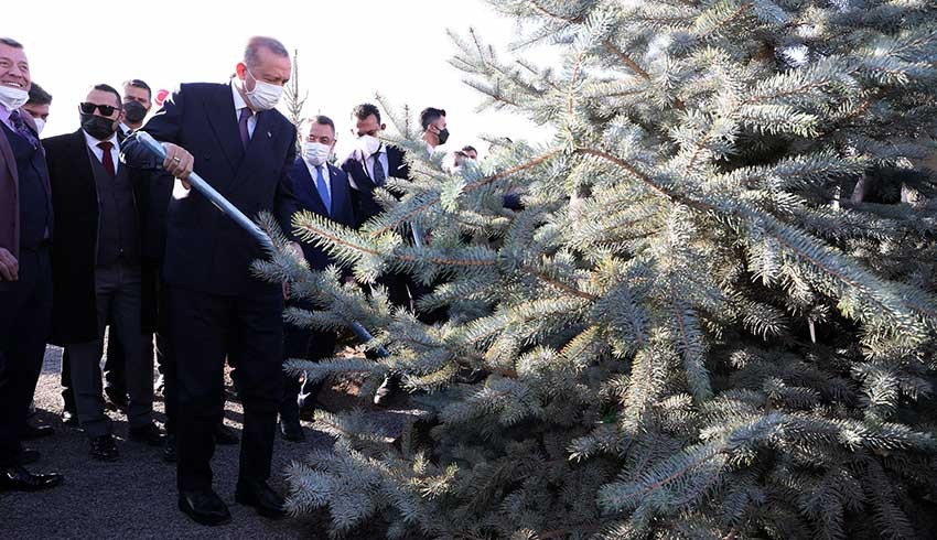 Erdoğan: Yanan ormanlar tabiatın bize ikazlarıdır