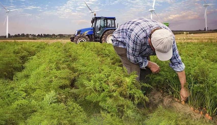 Bakan açıkladı: Yabancılar 16 milyon 265 bin metrekare tarım arazisi aldı