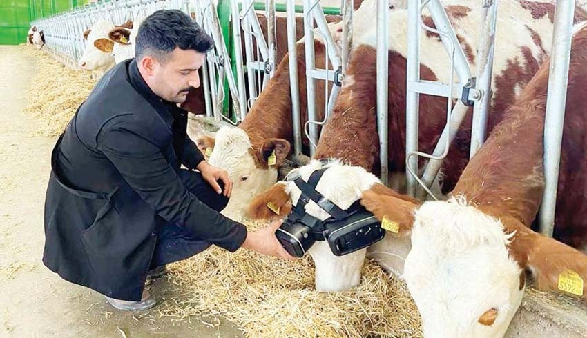 Sütte zam bitmedi: Litresi 21 TL’ye çıkabilir