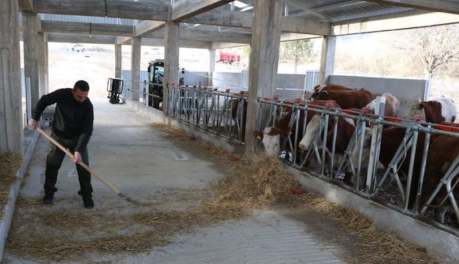 İşini bıraktı; hayvancılık tesisi kurdu; elektrik alamayınca mağdur oldu