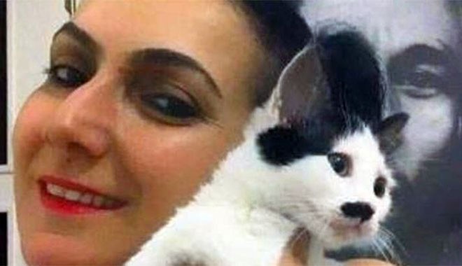 İstanbul'da 42 yaşındaki kadını evde beslediği kedi ve köpekler yedi