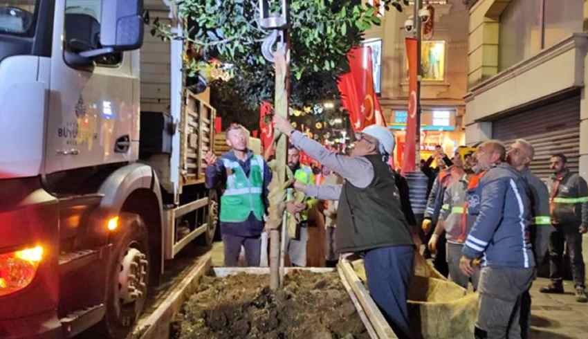 İstiklal Caddesi'nde banklardan sonra ağaçlar da kaldırılıyor