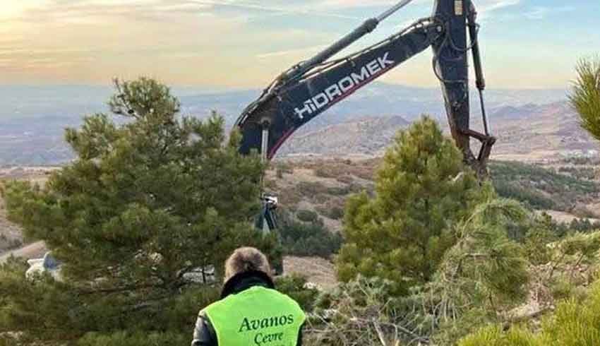 Kapadokya şimdilik kurtuldu! 10 ağacı kesip gittiler