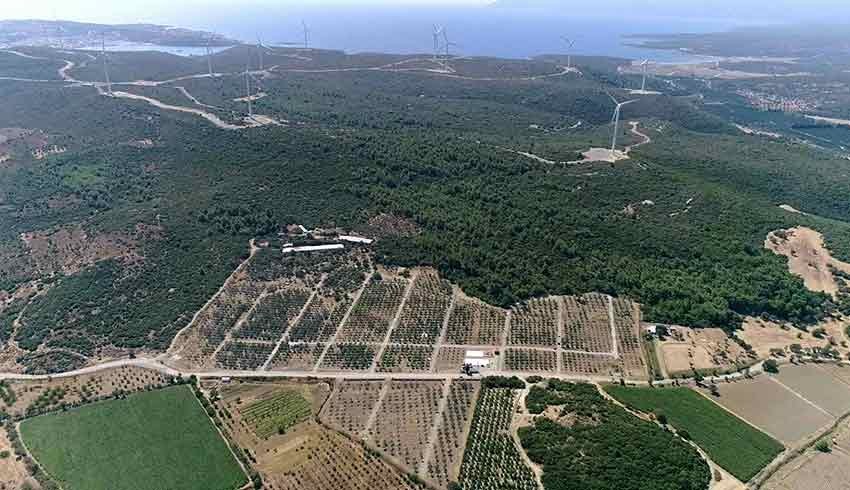 Kanun çıktı kaçış başladı: Yüzlerce araziyi alelacele satışa çıkardılar