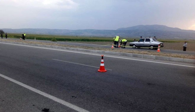 Kaplumbağayı kurtardı, kendi öldü