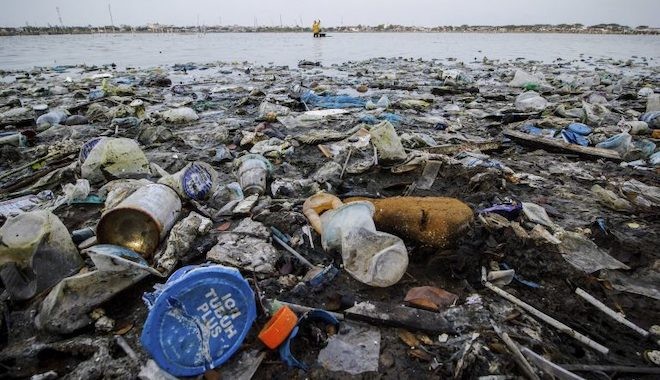 Karaya vuran balinanın midesinden 100 kilogram çöp çıktı: Halat, paket bandı, poşet ve plastik bardak