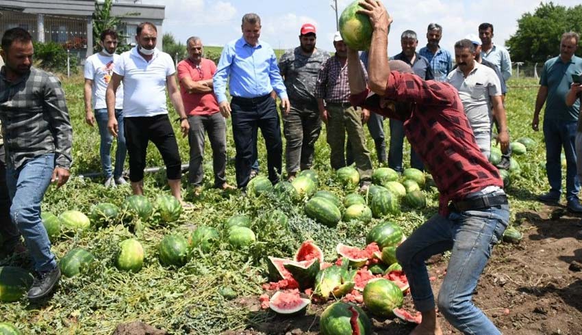 Rekor karpuzda! Üretici ile tüketici arasındaki fark 4 katı aştı