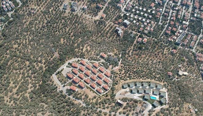 Kaz Dağları'nda villa için 2.5 milyon zeytin ağacı kesildi