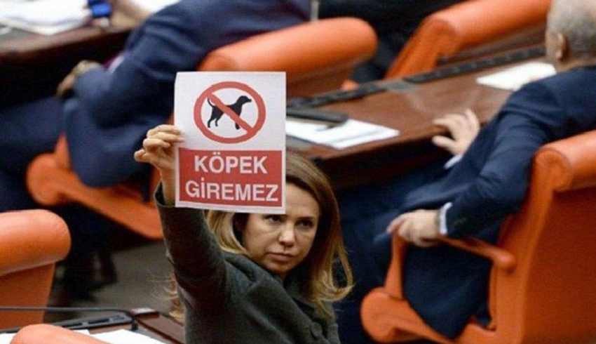 ‘Köpek giremez’ afişi açtı Bakan Soylu’ya danışman oldu