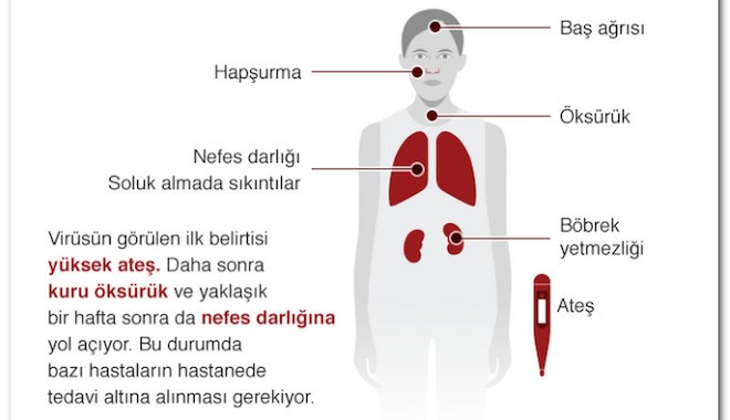 Koronavirüse yakalandığınızı nasıl anlarsınız?