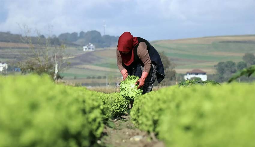 Erdoğan: Çiftçilerin elektrik faturaları ürünler satıldıktan sonra ödenebilecek