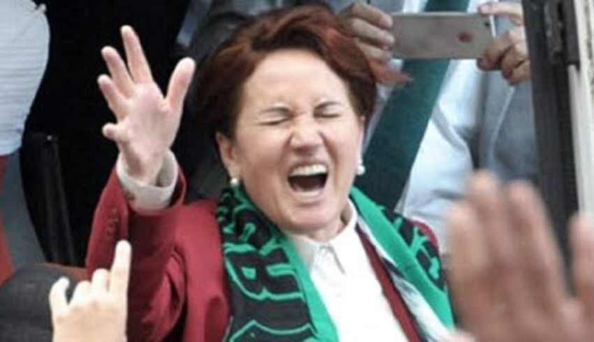 Meral Akşener'i köpek ısırdı