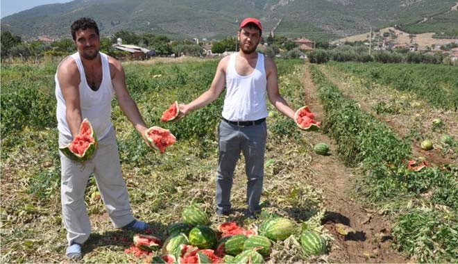 Misafirliğe giderken 'kola değil, karpuz' götürün, çiftçiye destek olun