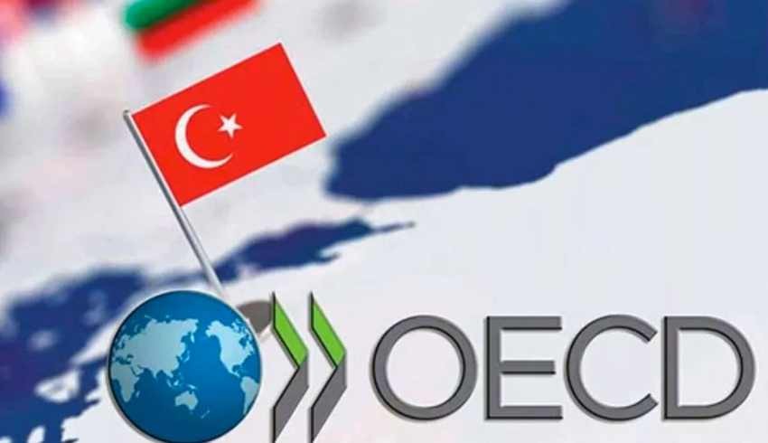 OECD: Enflasyonla mücadele için daha fazla faiz artırılmalı