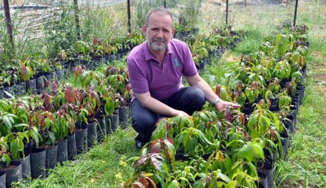 Otellere ve yazlıkçılara mango çağrısı