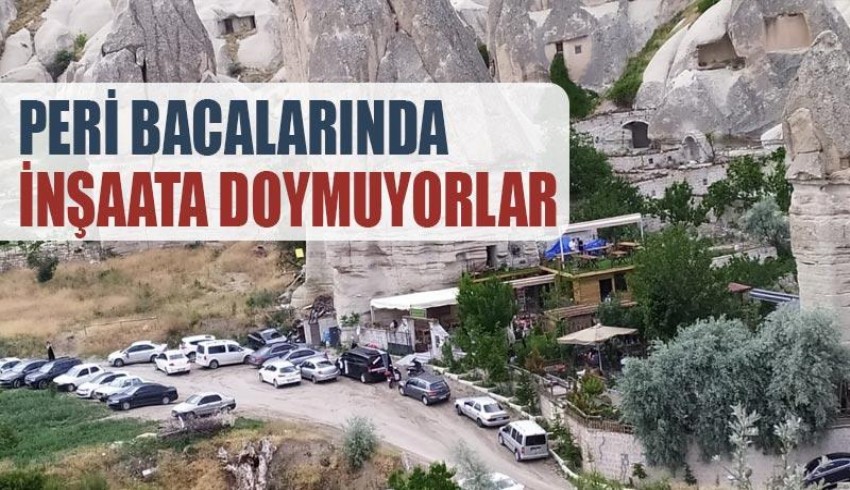 Peri bacalarında katliam! Başkan yıkıyor, oğlu yeniden yapıyor