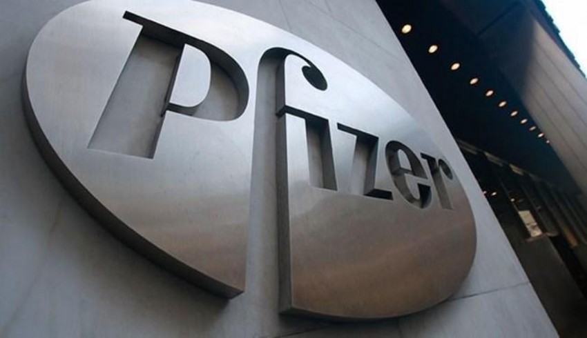 Pfizer satın aldı; hisseler üçe katladı