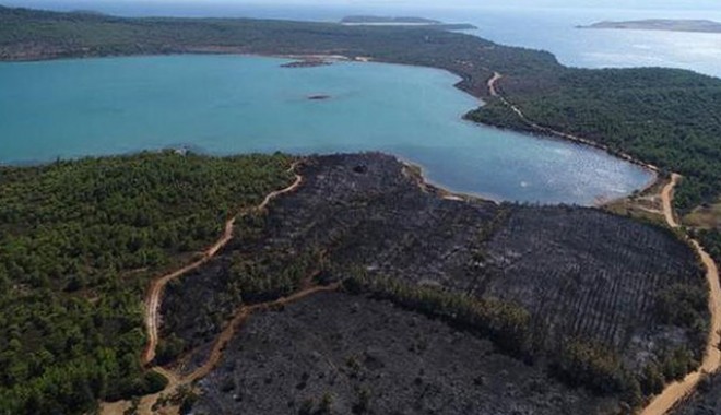 Kar yağışı etkili oldu: İstanbul'da barajların doluluk oranı arttı