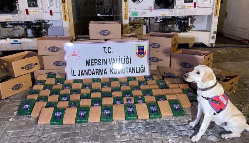 Soylu: Mersin Limanı'nda 258 kilogram kokain yakalandı