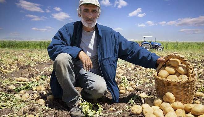 Çiftçiye 'Tarım sigortası' şoku!