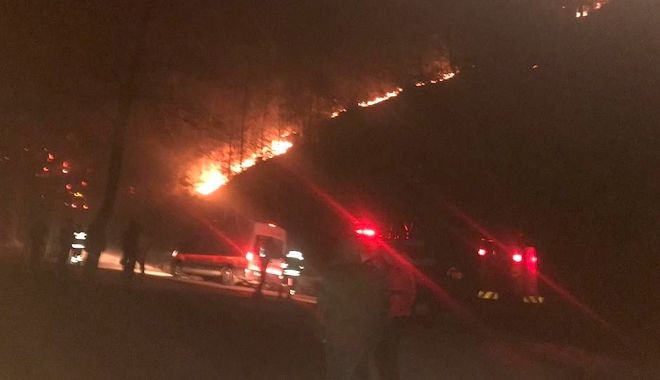 Trabzon ile Giresun’da orman yangınları yeniden başladı