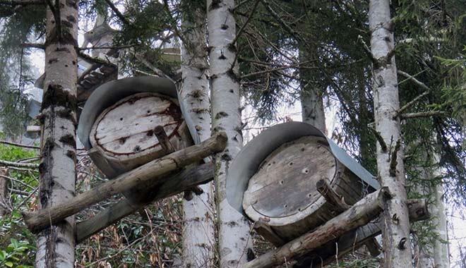 Türkiye’nin Canı! Rize Hemşin’deki karakovan arıcılığına destek