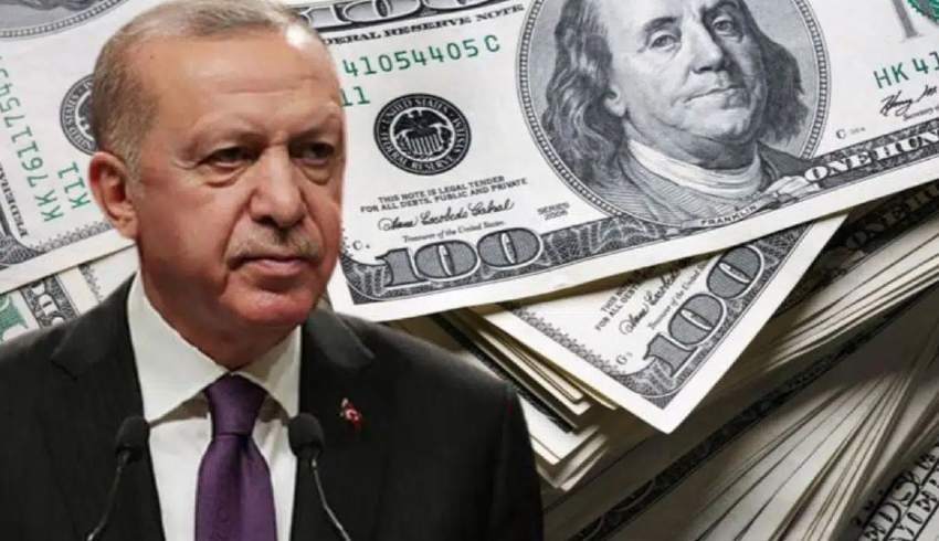 Ünlü ekonomistten flaş dolar iddiası: Erdoğan bilerek müdahale etmiyor