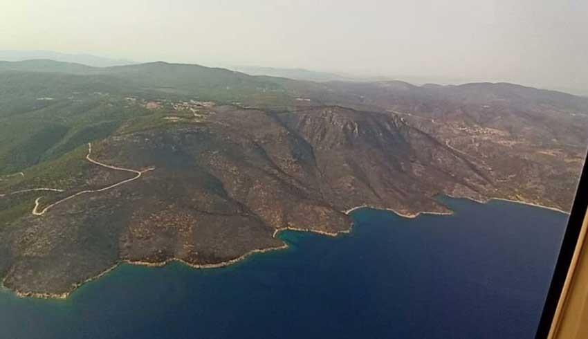 Yeşil Milas'ın son hali yürekleri dağladı! Simsiyah oldu